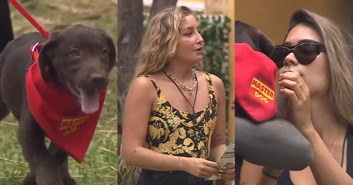 Llegada de perrito Canelo en Tierra Brava generó inesperado conflicto: Dani y Chama se “enfrentaron”