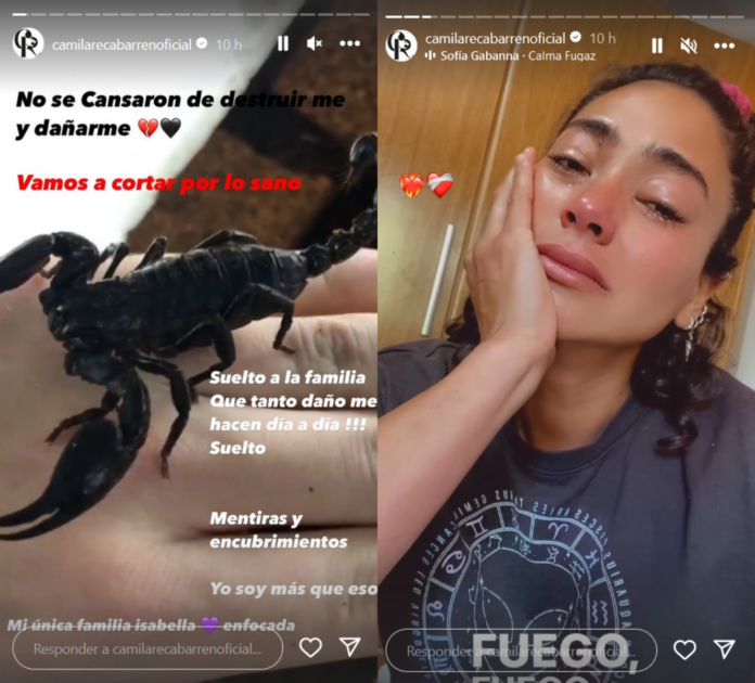 Camila Recabarren preocupó a seguidores al denunciar "golpes y asfixia": "Nos vemos en fiscalía"