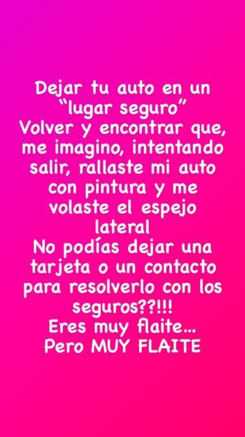 Fran García-Huidobro funó a conductor que rayó y destruyó espejo de su auto: "Eres muy flaite"