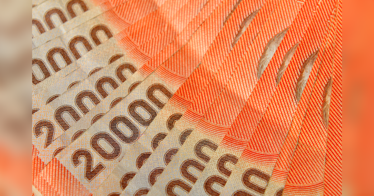 Comienza pago del Ingreso Mínimo Garantizado de enero: revisa si te corresponde el beneficio