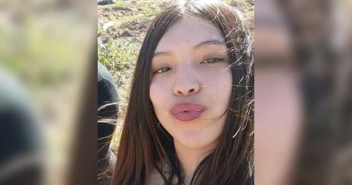 Joven desaparecida en San Felipe: PDI dio a conocer que 7 personas entregaron 