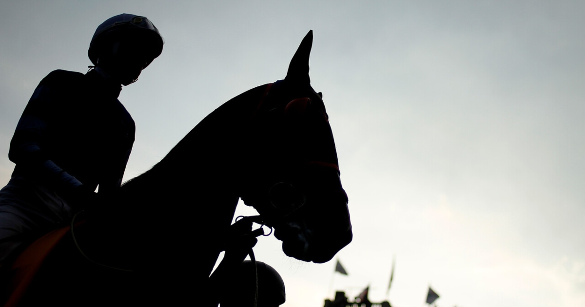 Yegua de Kike Morandé estaría involucrada en caso de suplantación en competencia del Club Hípico