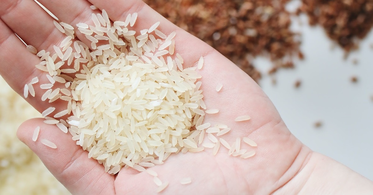 Año Nuevo Chino 2024: rituales con arroz para atraer la abundancia
