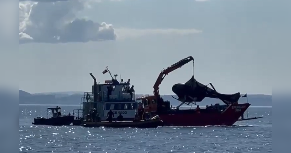 Así vivió bomberos los primeros minutos tras accidente de expresidente Piñera: 