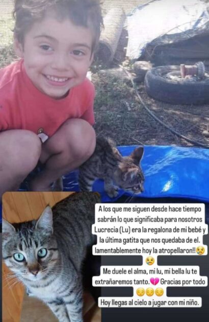 Madre de Tomás Bravo lamentó la muerte de mascota de su hijo Tomás Bravo