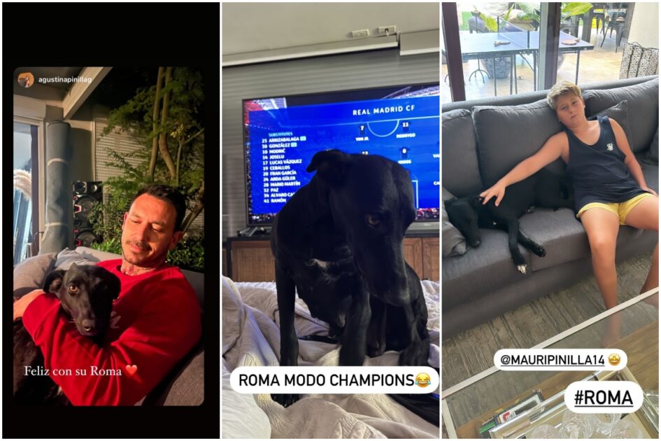 Mauricio Pinilla adoptó a perrita afectada por incendios