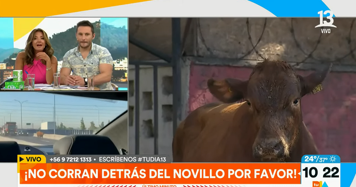 Priscilla Vargas lanzó furioso descargo por móvil de Gino Costa en CHV: 