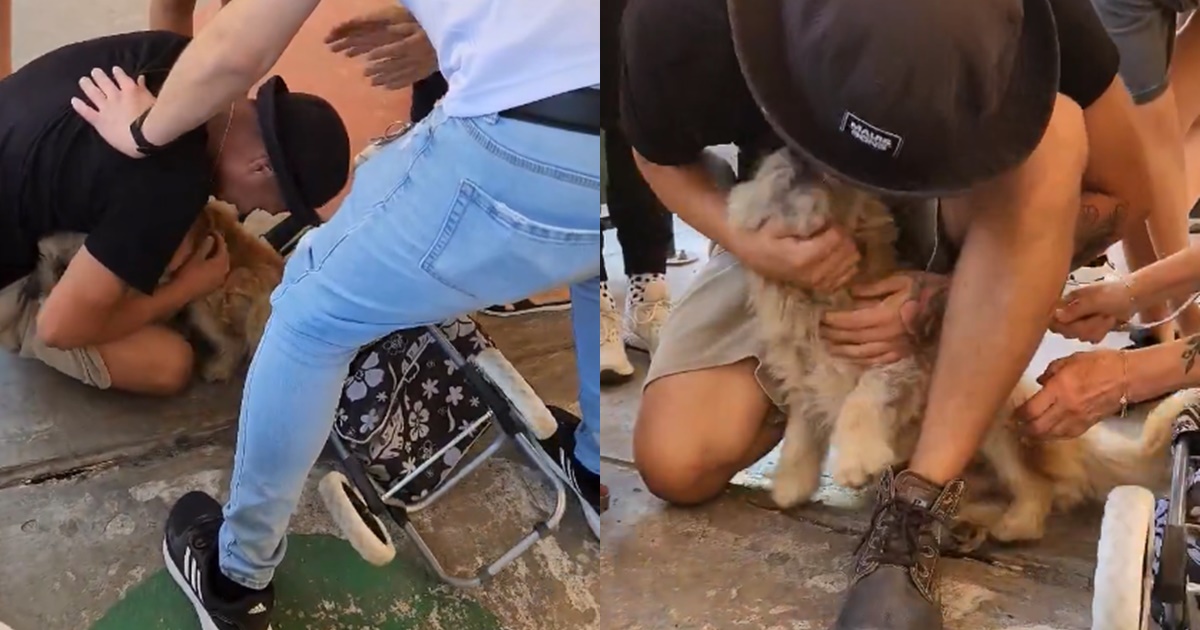 Viralizan conmovedor reencuentro entre joven y su perrito tras separarse en incendio en Viña del Mar