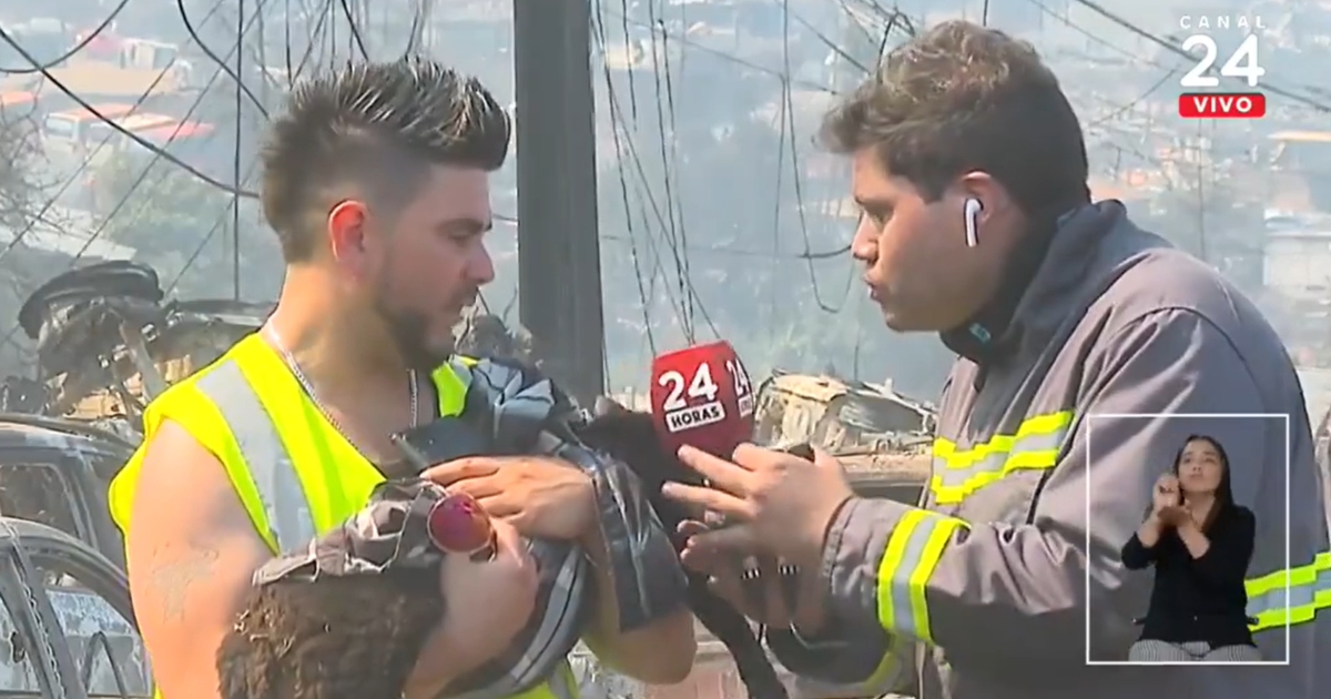 Hombre rescató a gatito en medio de los escombros por el incendio: 