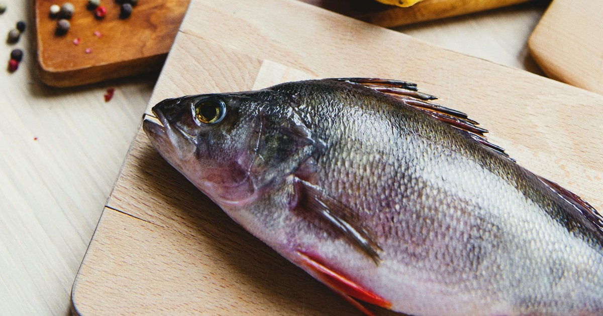 ¿Por qué no se come carne en Semana Santa? La razón por la que se prefiere el pescado 