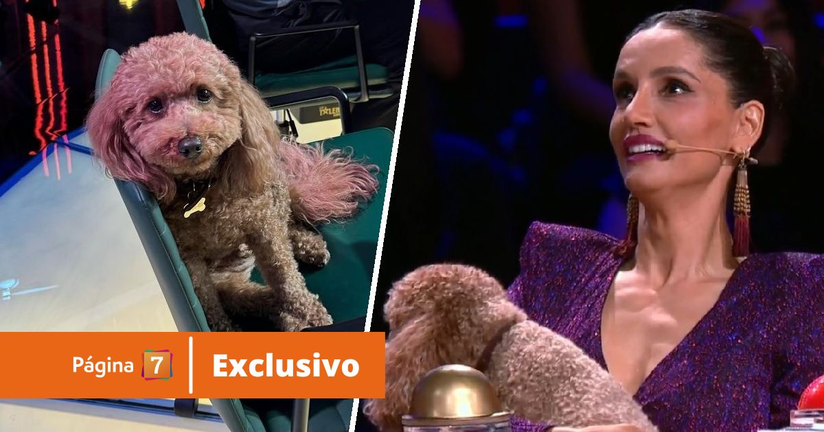 Perrito de Leonor Varela la acompañará en el jurado durante todos los capítulos de Got Talent Chile