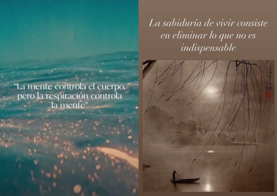 María José Prieto reapareció en redes tras grave querella contra Cristián Campos: publicó reflexiones