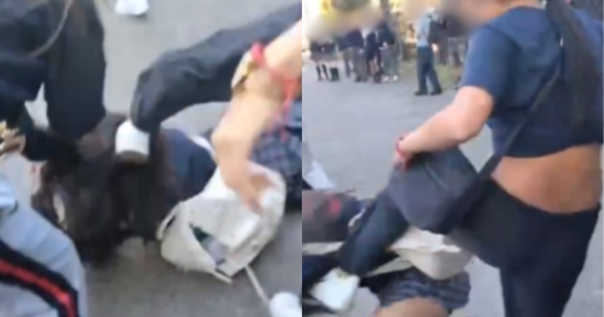 Alumnas de liceo de Temuco protagonizaron violenta pelea: una quedó con la cara ensangrentada