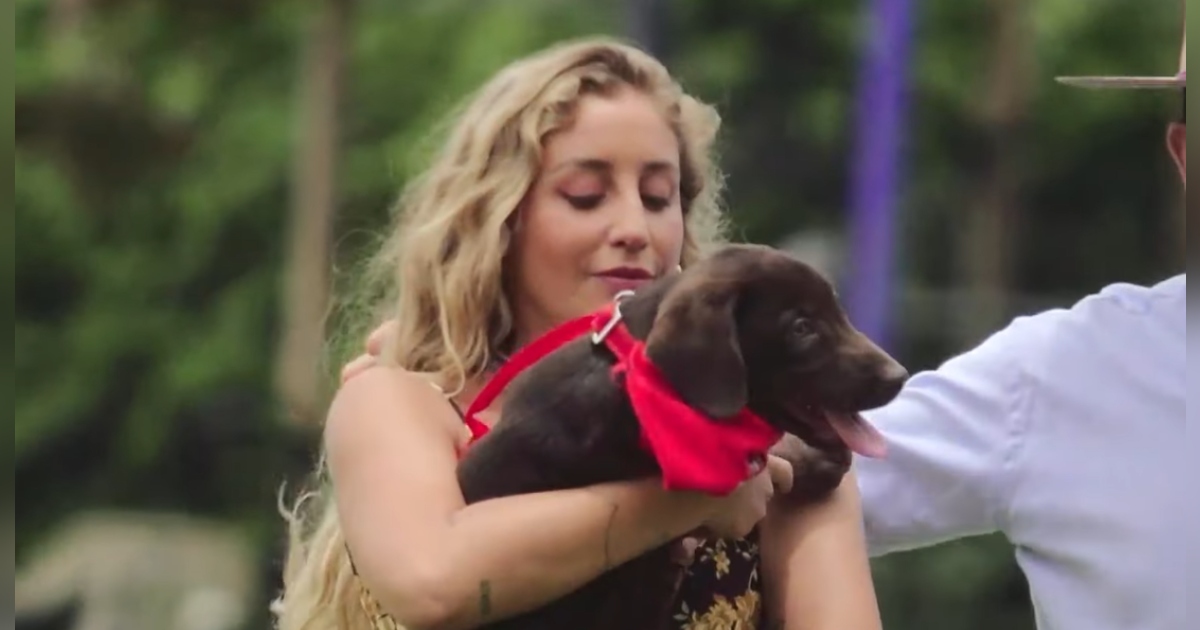 Tras muerte de Canelo: ¿por qué Daniela Castro no pudo adoptar al perrito de Tierra Brava?
