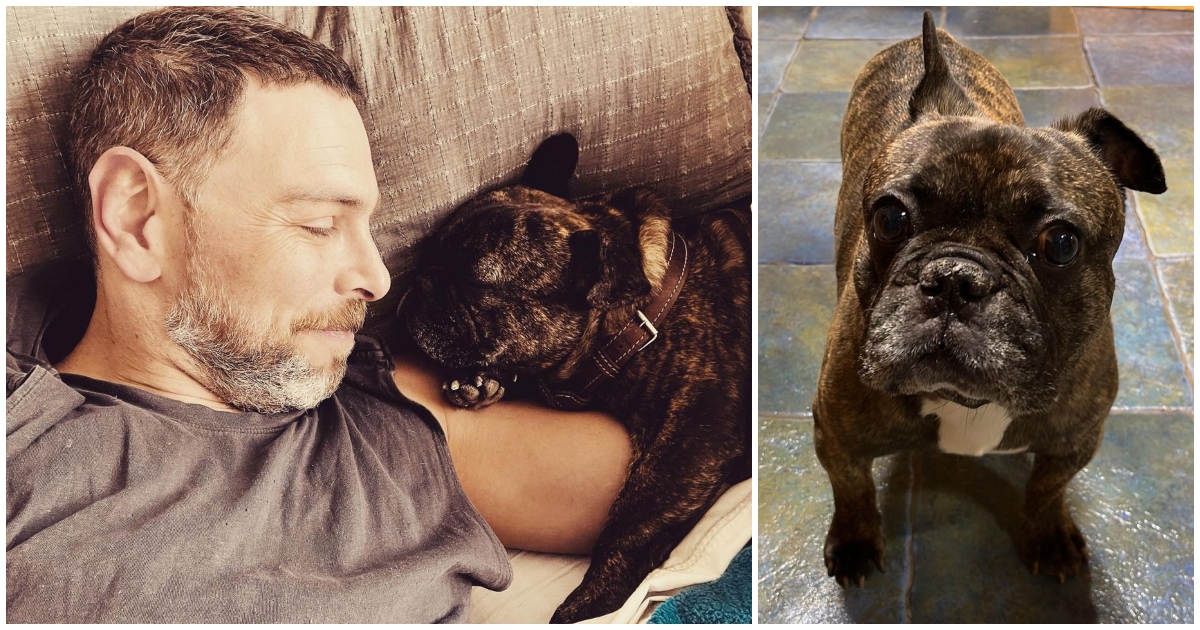 La sensible solicitud de José Antonio Neme al mundo político tras perder a su perro Duque