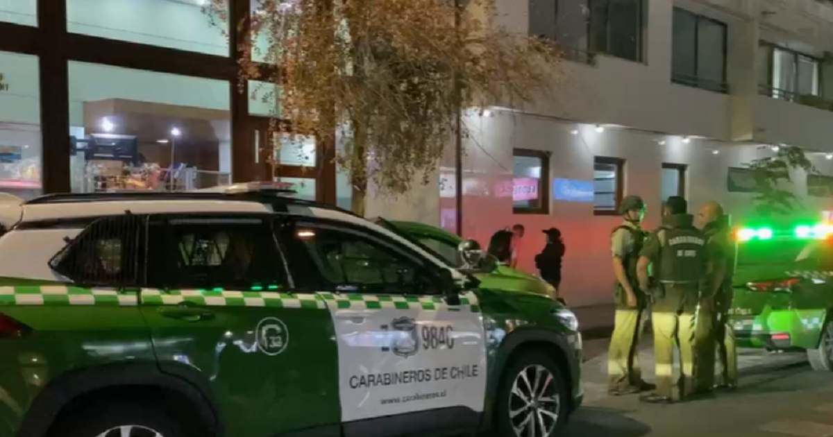 Brutal caso de maltrato animal en Santiago: hombre lanzó a perro desde piso 12 en medio de discusión