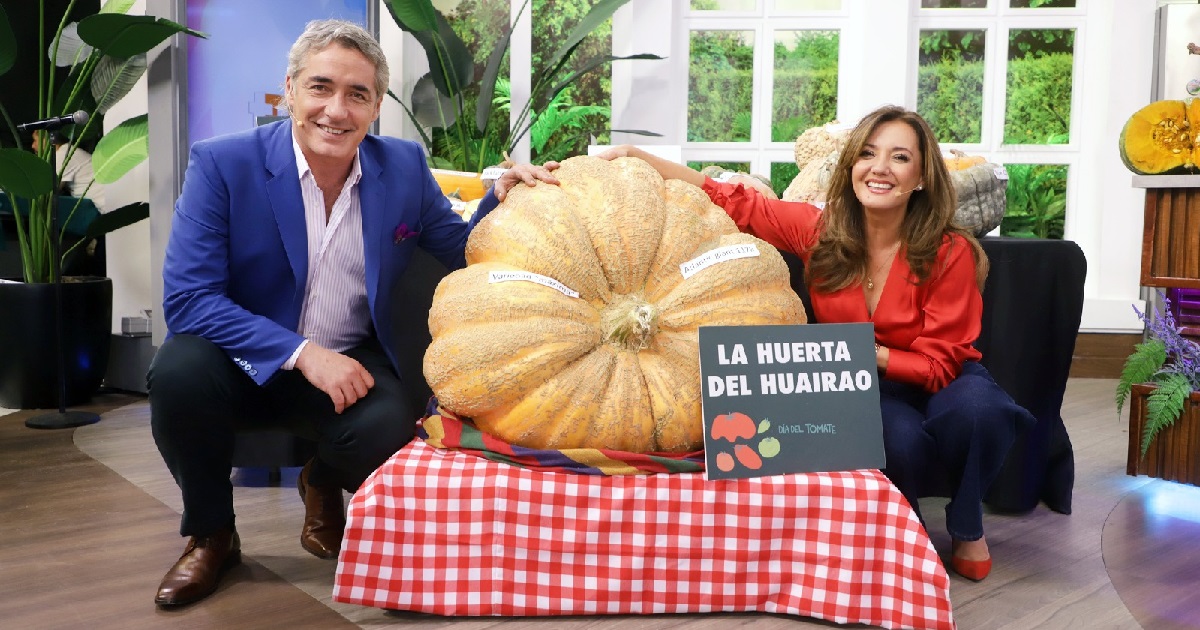 Enorme zapallo de 117 kilos impactó a animadores del matinal Tu Día: 