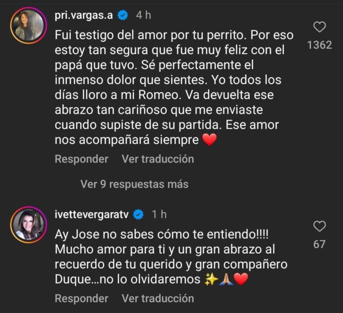 Mensajes en apoyo a José Antonio Neme tras muerte de su perrito Duque