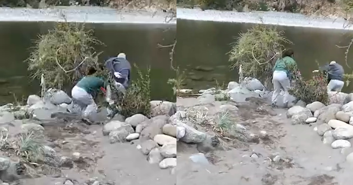 Graban a mujer empujando a adulto mayor a río de Linares: lo habría acusado de invadir su propiedad