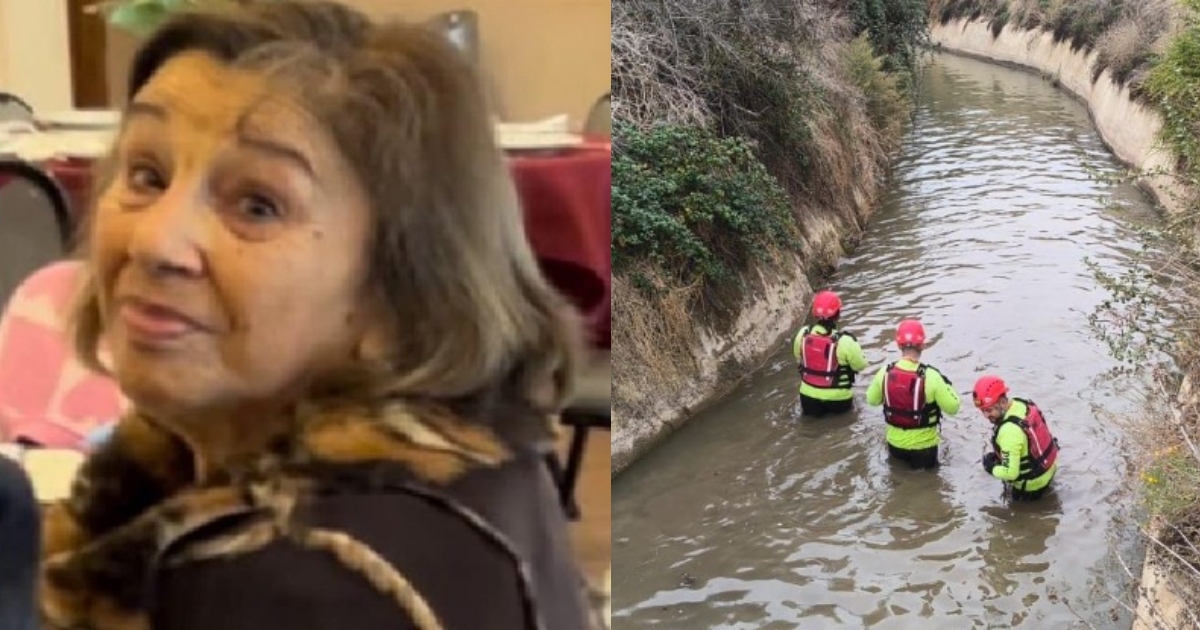 Adulta mayor desaparecida en Limache: realizan búsqueda en canal Waddington ante hipótesis de caída