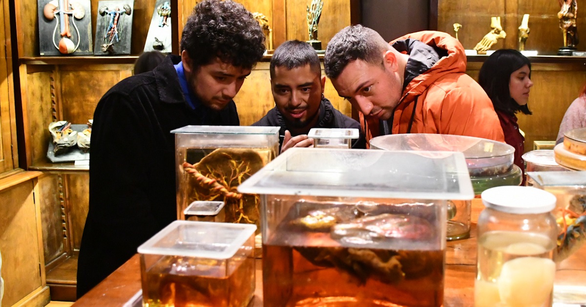 Día de los Patrimonios: revisa las actividades por comuna y región para este 25 y 26 de mayo