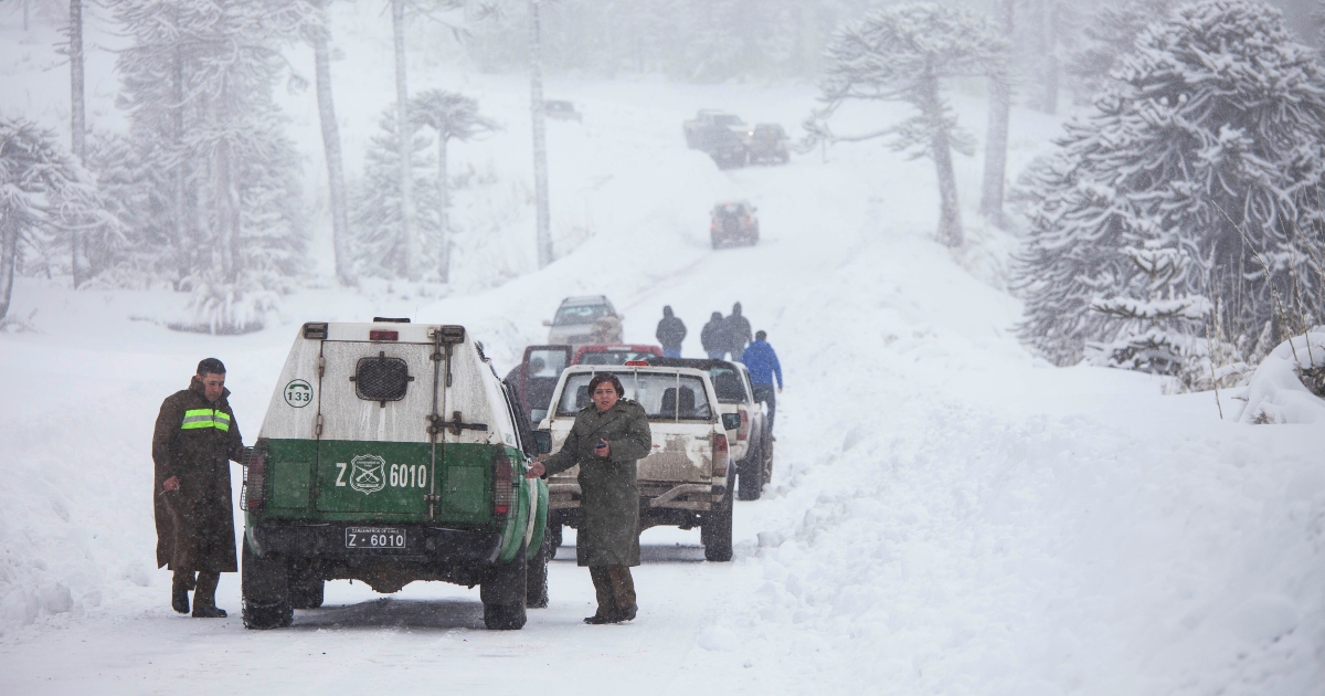 Encuentran con vida a trabajadores forestales desaparecidos desde hace una semana en volcán Apagado