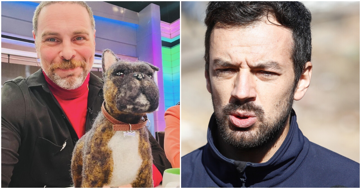 Neme solidariza con alcalde Vodanovic por envenenamiento de sus mascotas: 