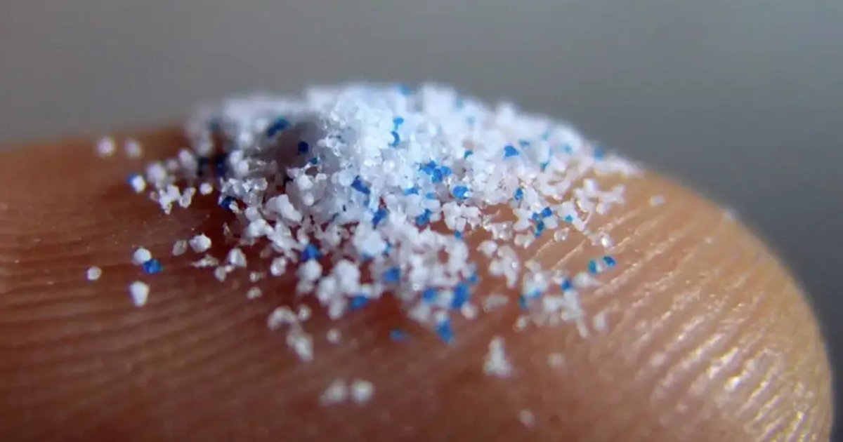 Descuben presencia de microplásticos en testículos de humanos: podrían afectar la reproducción