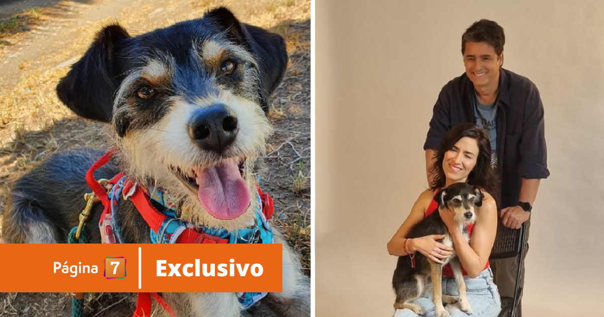 Wilson: el can de 'Como la vida misma' que llegará a Amazon Prime Video con la película 'Perra Vida'