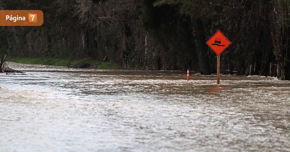 Senapred ordena evacuar sector Santa Elena de Rancagua por desborde de estero La Cadena