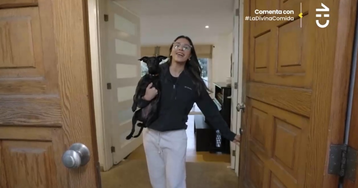 Con muchas plantas y un llamativo cuadro: Gianella Marengo mostró su casa en La Divina Comida