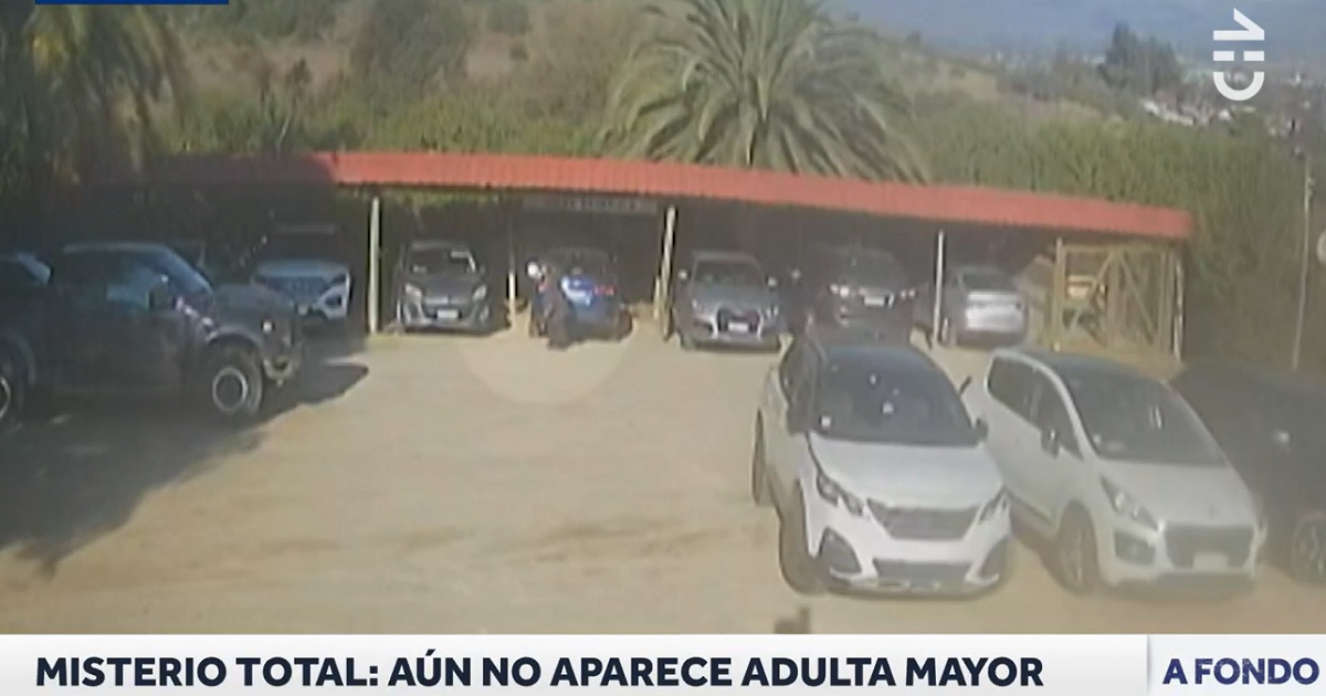 Desaparición de adulta mayor en Limache