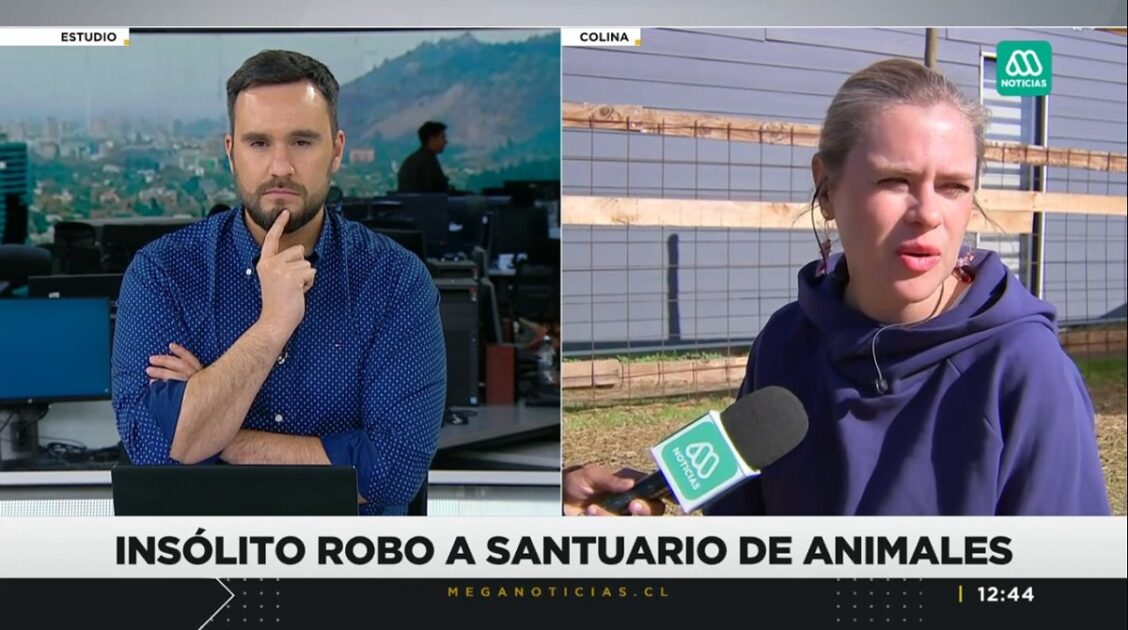 Eliana Albasetti actualizó situación del robo de su cordero Pepe Bruno