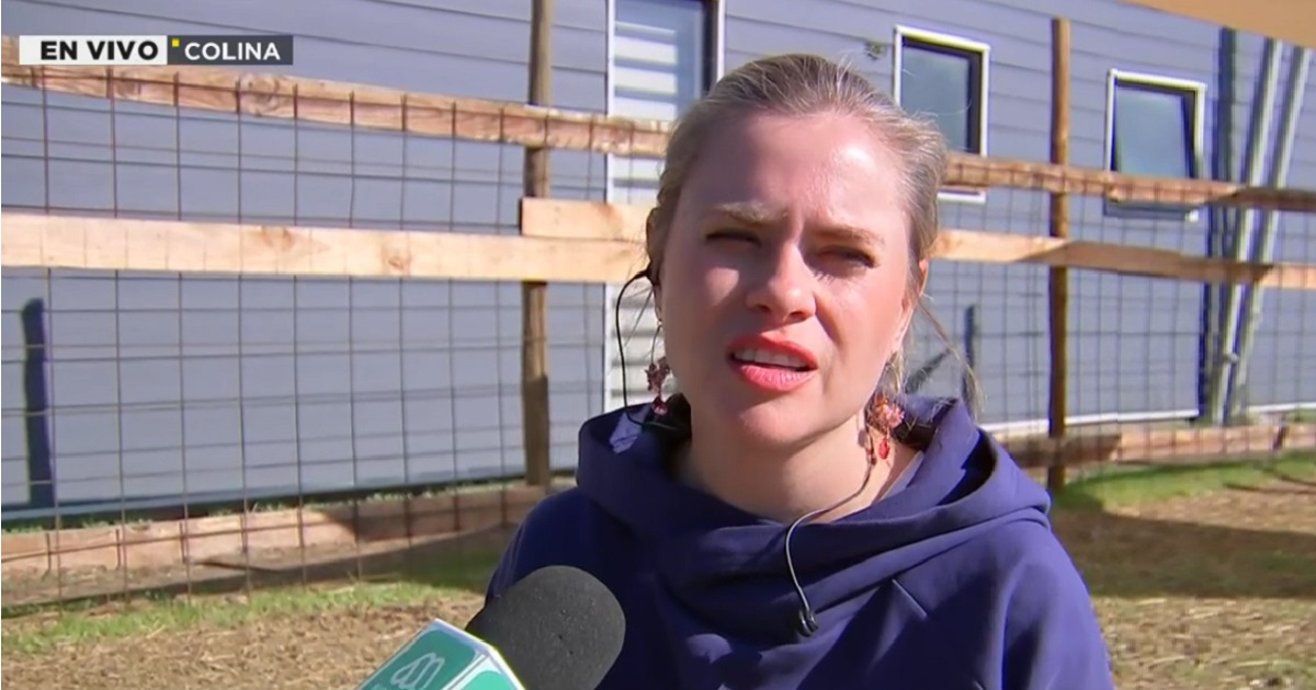 Eliana Albasetti actualizó situación del robo de su cordero Pepe Bruno: 