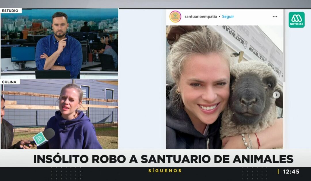 Eliana Albasetti actualizó situación del robo de su cordero Pepe Bruno