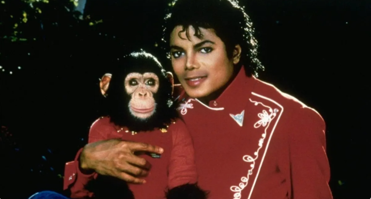 Qué fue de Bubbles, el famoso mono de Michael Jackson: ya tiene 41 años