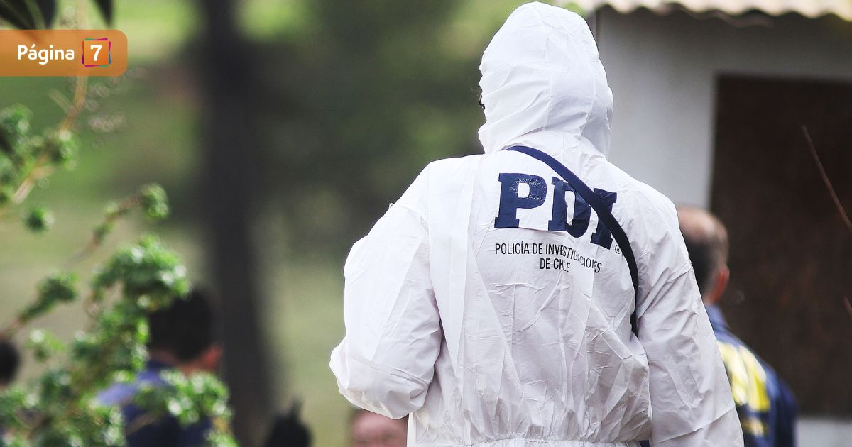 El Tabo: encuentran documentos de adulta mayor desaparecida tras hallazgo de osamentas