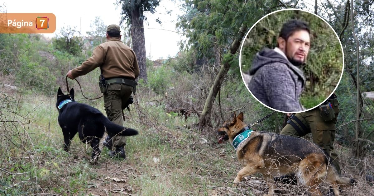 Hombre lleva más de 2 meses desaparecido en Futrono: hijas presumen intervención de terceros