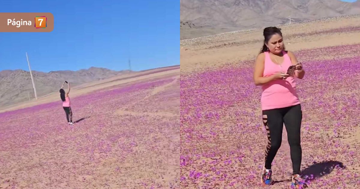 Mujer causa repudio e indignación en redes al pisar flores del Desierto Florido: 