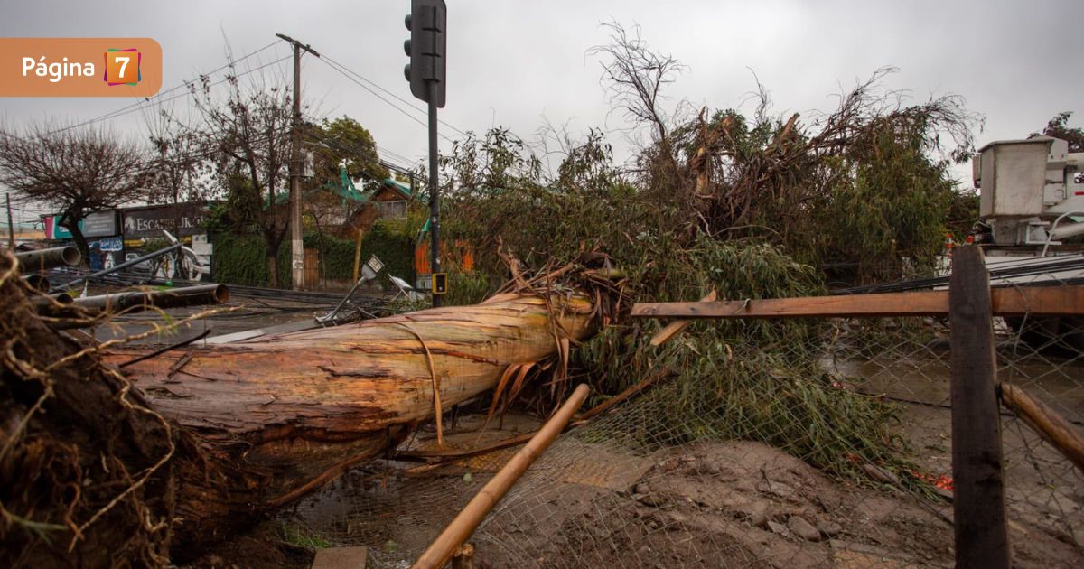 Senapred entrega nuevo balance del sistema frontal: 4 fallecidos y más de 2000 aislados