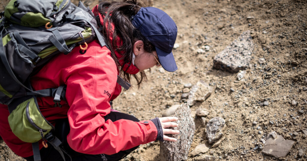 Estudio encontró en la Patagonia vestigios del impacto del meteorito que extinguió a los dinosaurios