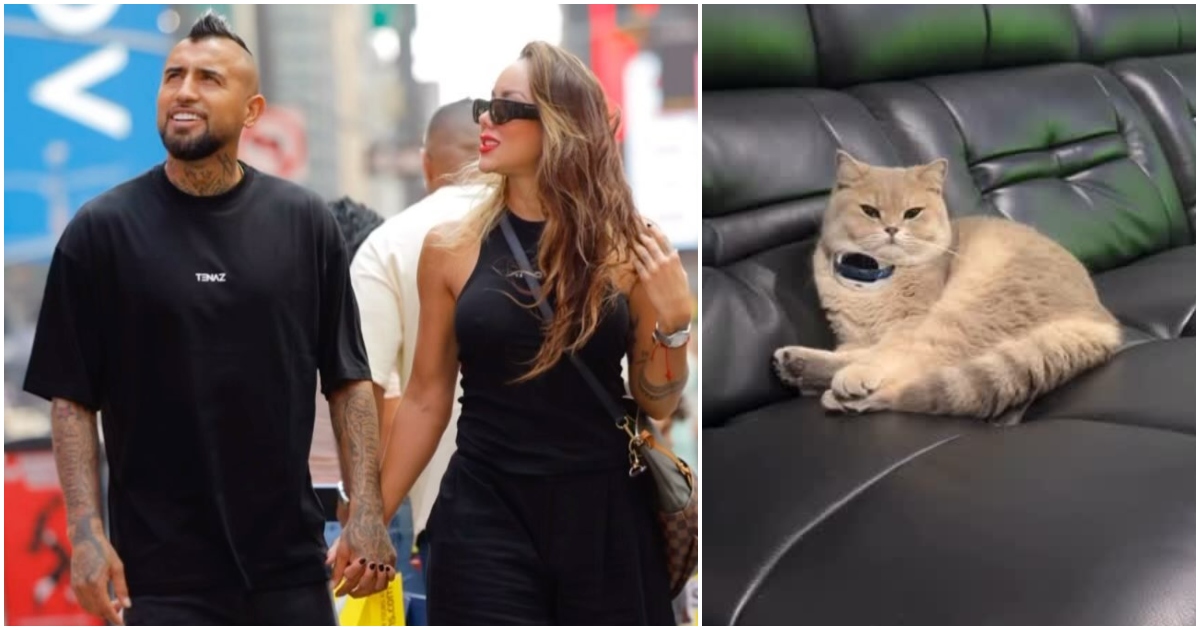 Sonia Isaza respira en paz tras regreso de su gato perdido: 