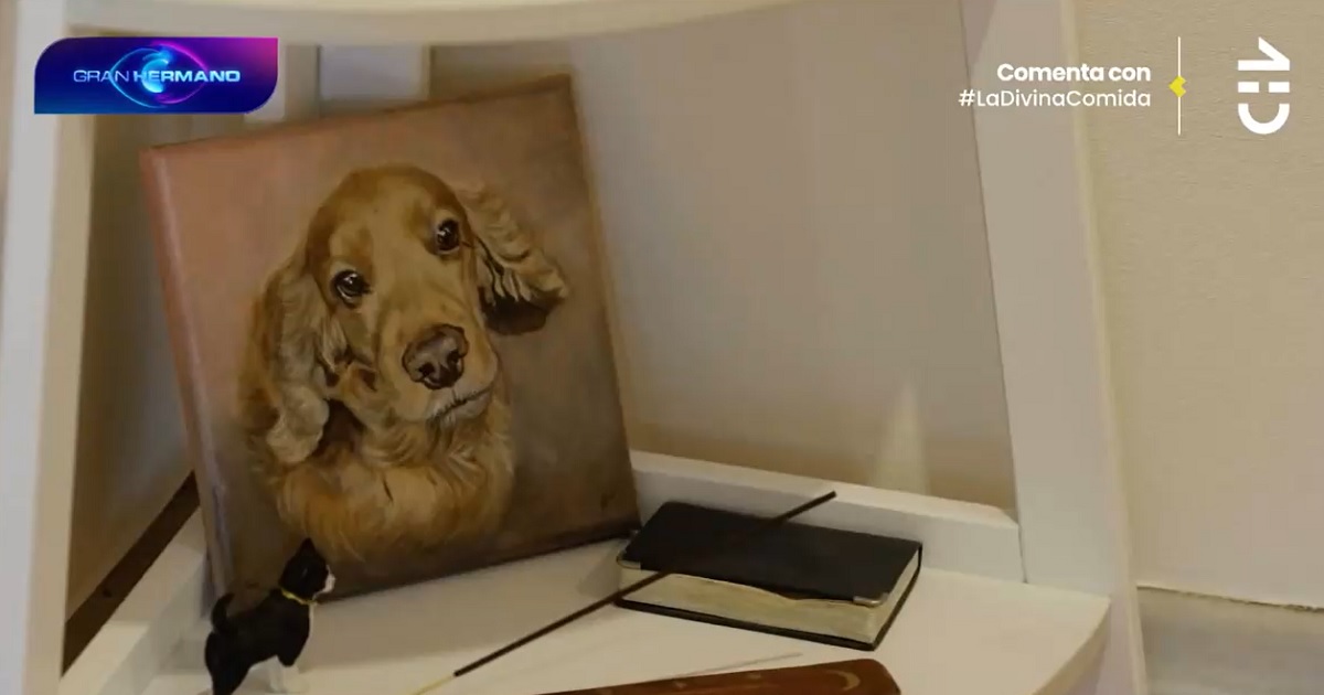 Vivi Rodrigues mostró a su fallecido perrito