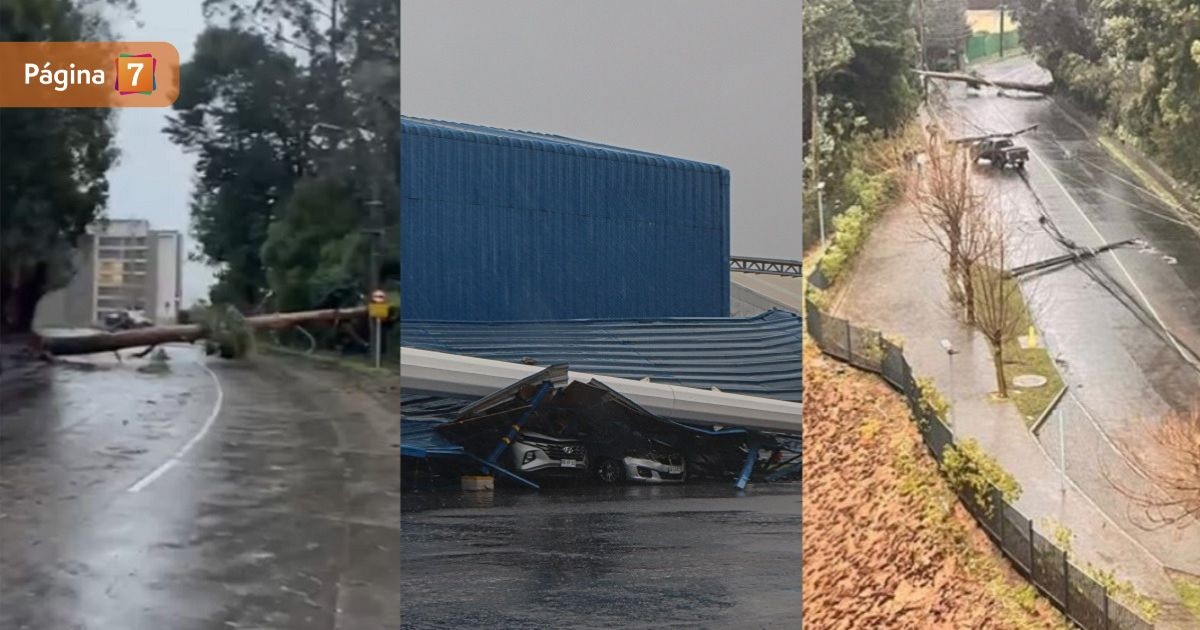 Gran Concepción azotado por sistema frontal: videos captaron caída de árboles, letreros y techumbres