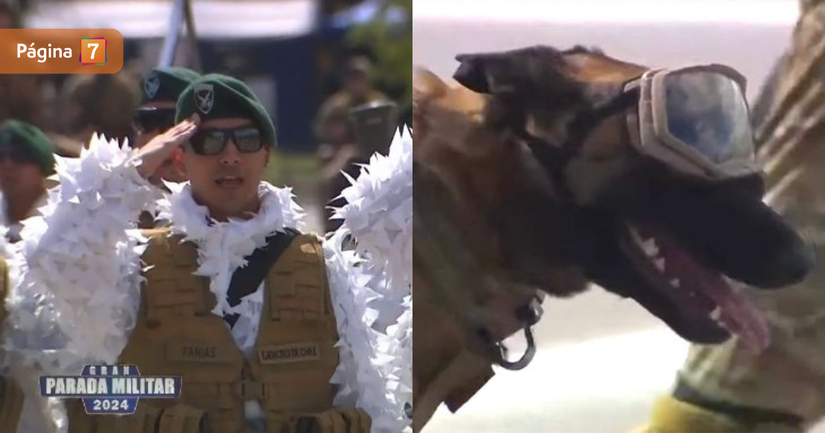 Perritos policiales y el 