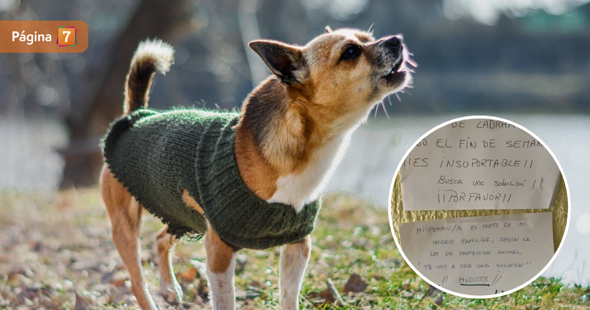 ¿Quién tiene razón? Guerra entre vecinos por ladridos de perro dividió a redes sociales