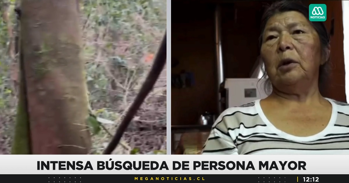 Mujer de 70 años desapareció hace 10 días en Máfil