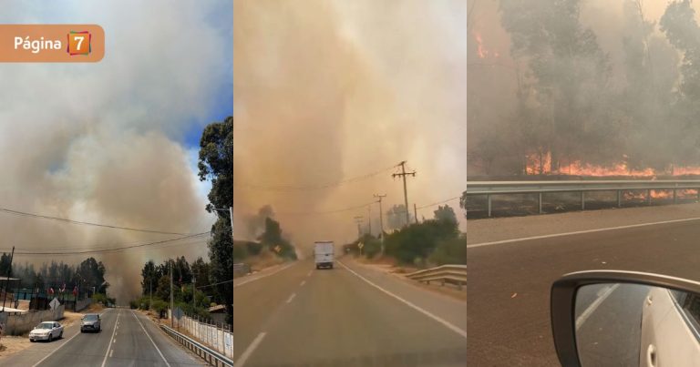 Alerta Roja en Quilpué por incendio forestal que ha consumido 40 hectáreas: ordenan evacuación