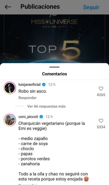 De Maca Pizarro a Luis Jara: famosos criticaron eliminación de Emilia Dides en Miss Universo 2024