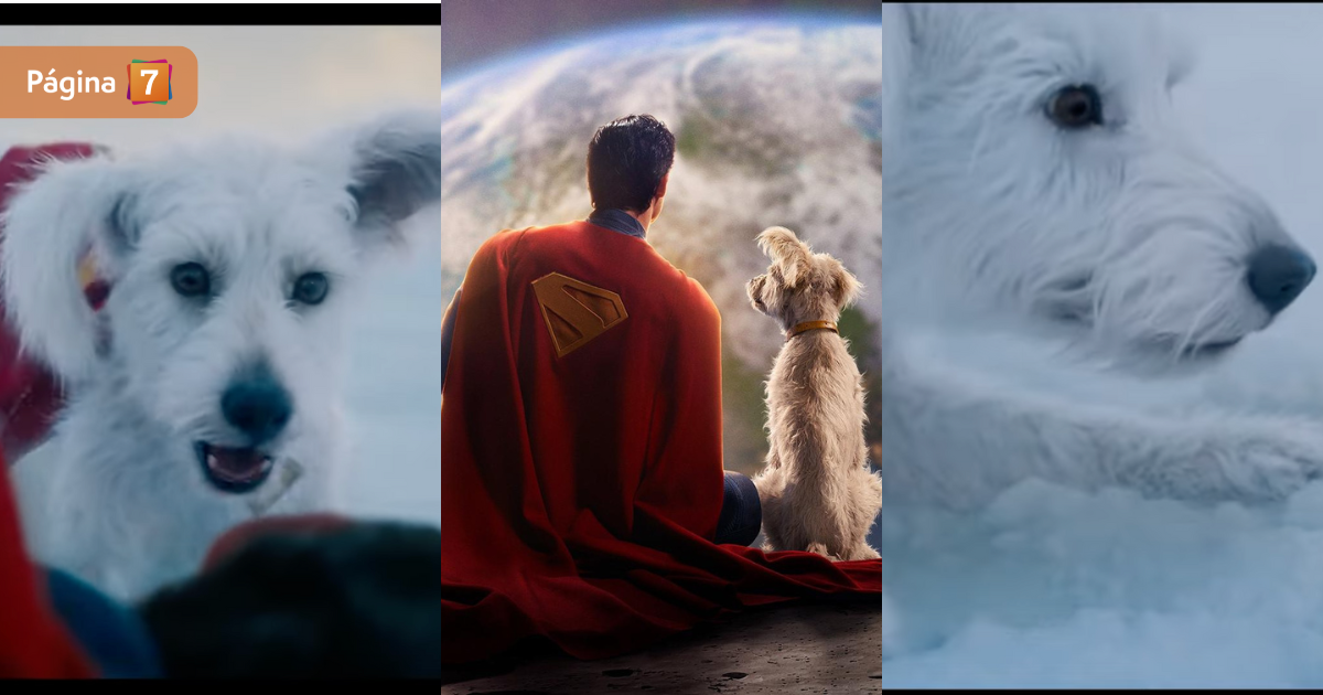 Descubre a Krypto: el superperro que se robó las miradas en el tráiler de nueva película de Superman